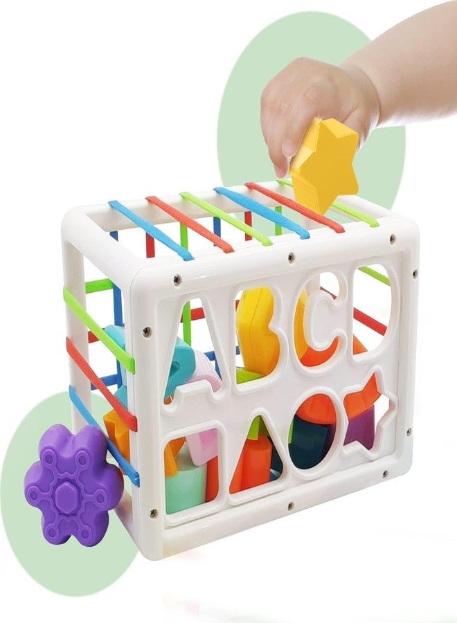 BIG FOLK BIGFOLK® Baby Shape Sorter Toy Set| 14 Pcs Sensory Shapes & Elastic Band Box | Montessori Brain Development Toy for Toddlers Age 1-3 | Early Learning Gift for Boys & Girls| BPA-Free & Safe - Image 4